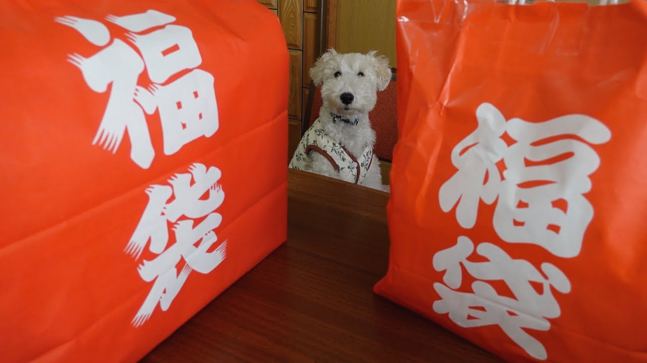 ローカルなお店の福袋を買った話［ニシムタ＆ハンズマン］