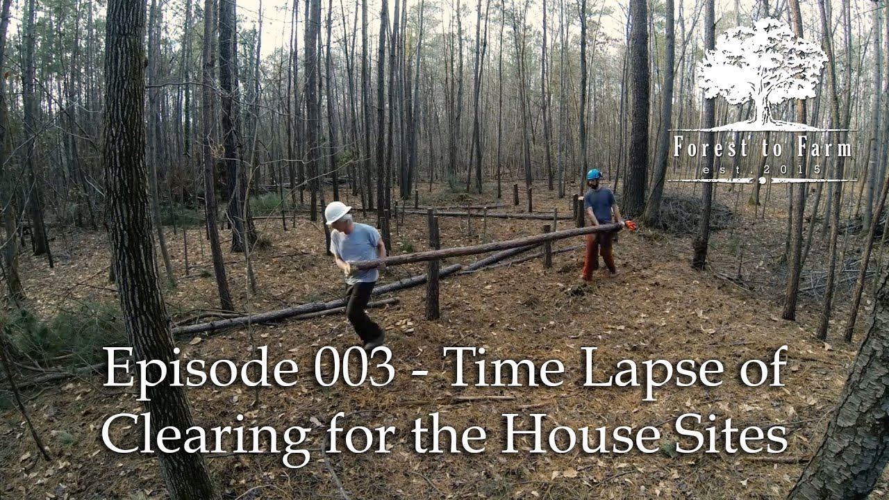 E003   Forest to Farm   Time Lapse of Clearing House Sites