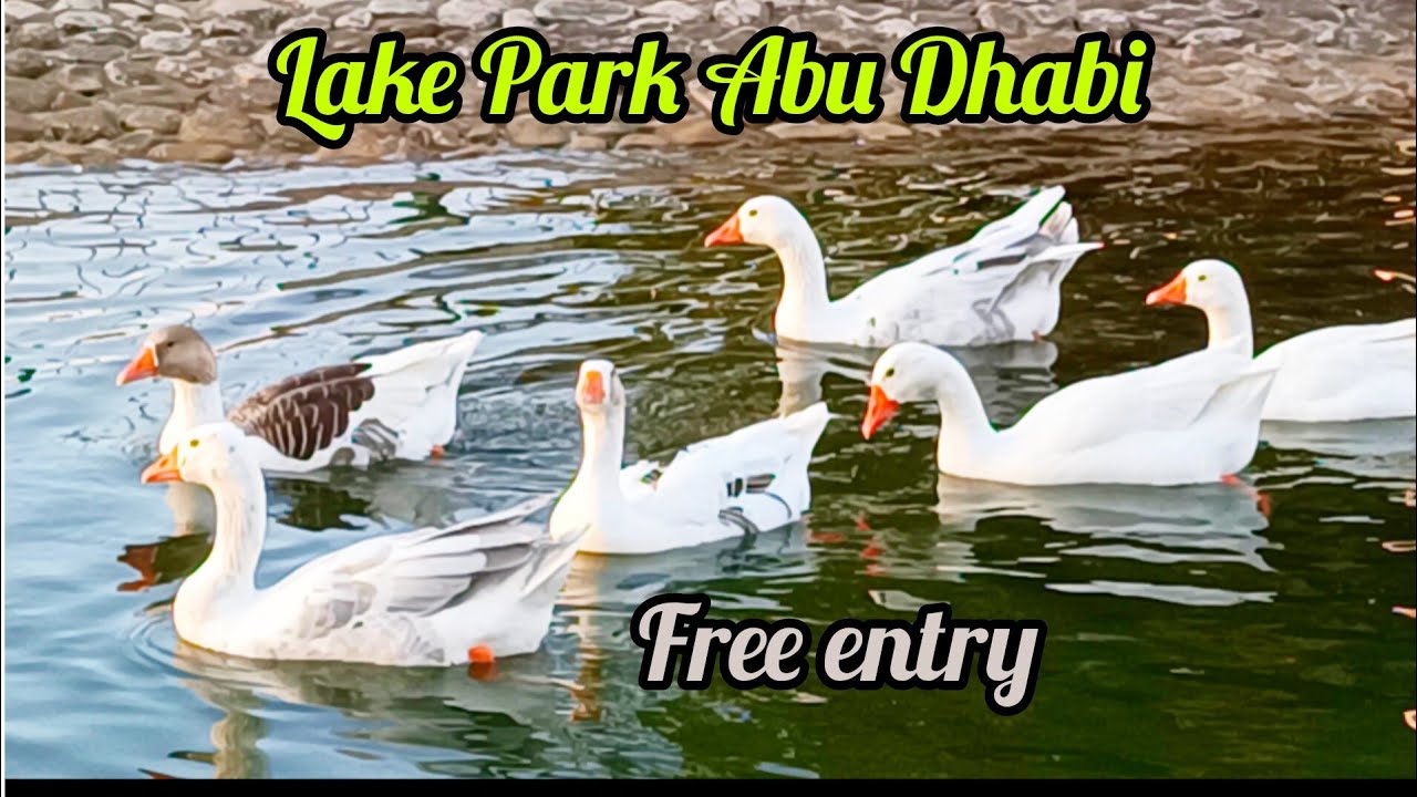 Lake park AbuDhabi, UAE, Amazing, beautiful family park in Corniche road, free entry malayalam vlog