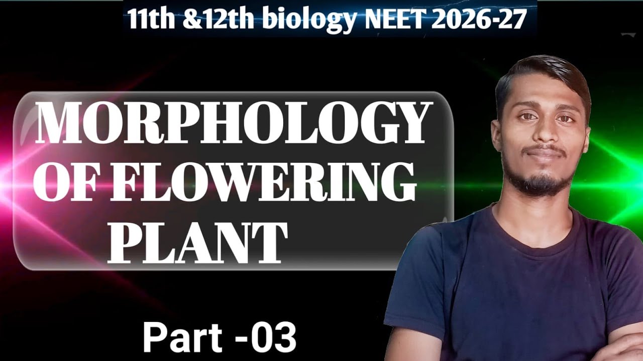 Morphology of flowering plant #3 |11th &12th Biology NEET 2026-27 full concept | BY-PANKAJ KASHYAP