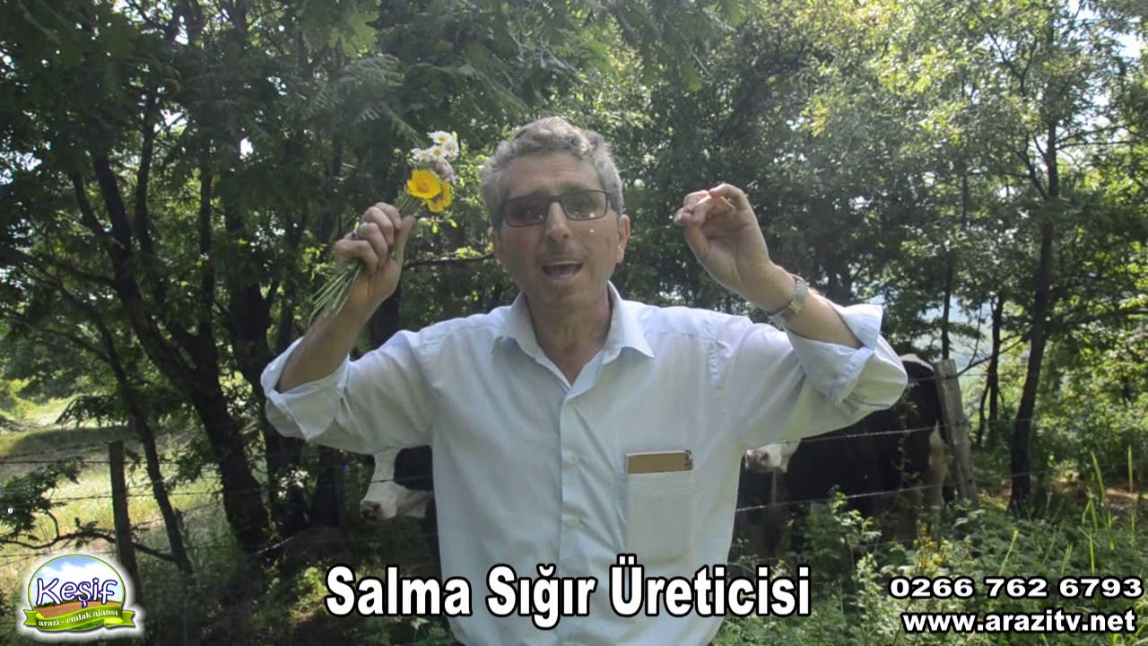 Taban Köyünde Salma Sığır Üreticisi. Yenice Çanakkale