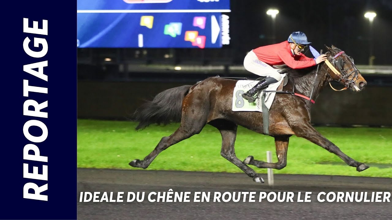 IDEALE DU CHÊNE EN ROUTE POUR LE PRIX DE CORNULIER