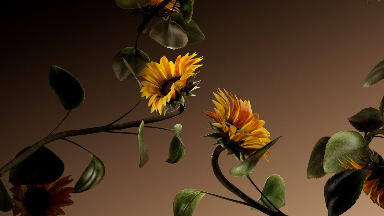 TEKA - Van Gogh Museum Edition 3D Motion Design
