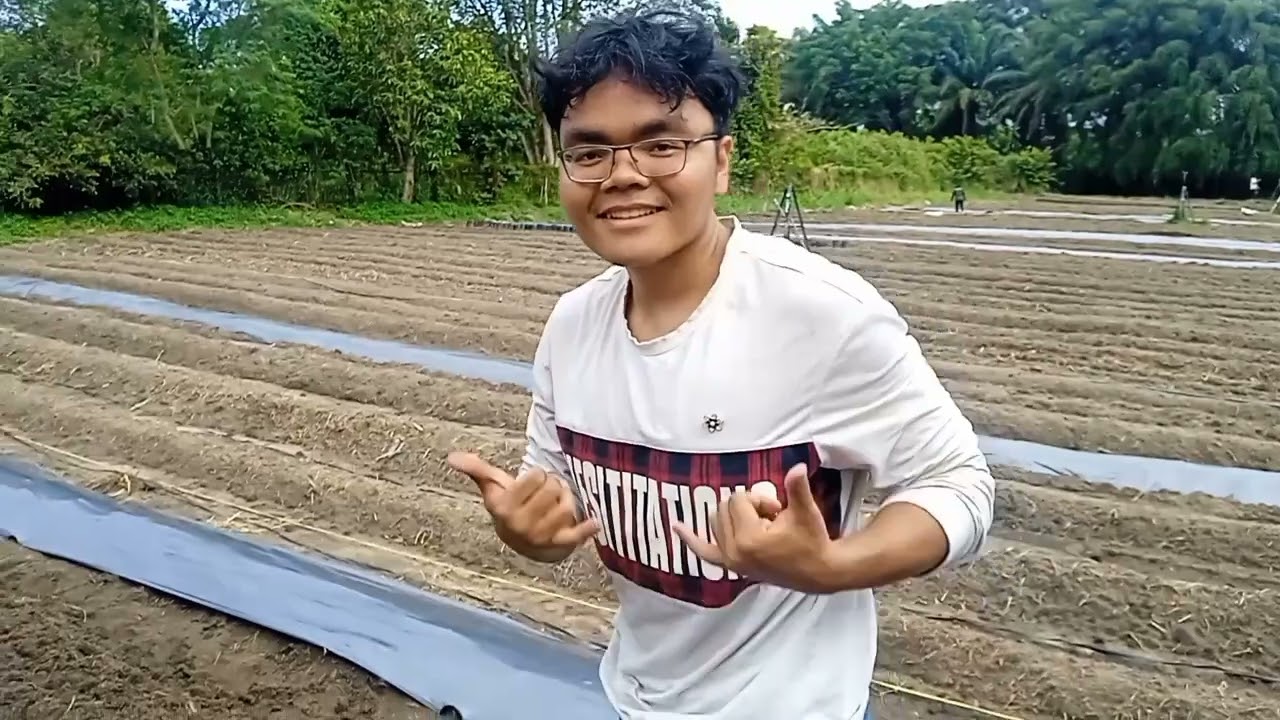 Christian Frederick Pasaribu__Tomat Ceri (Solanum lycopersicum var. cerasiforme)_Minggu Ke-2