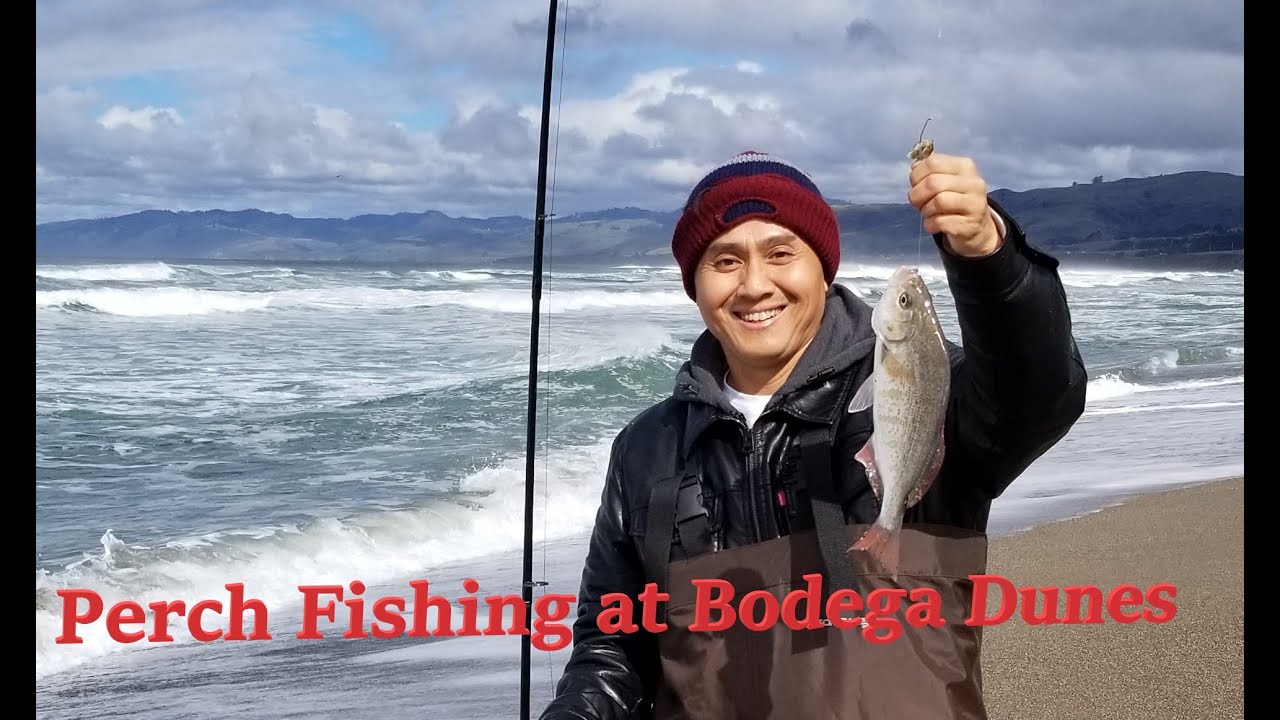 Bodega Dunes Perch Fishing