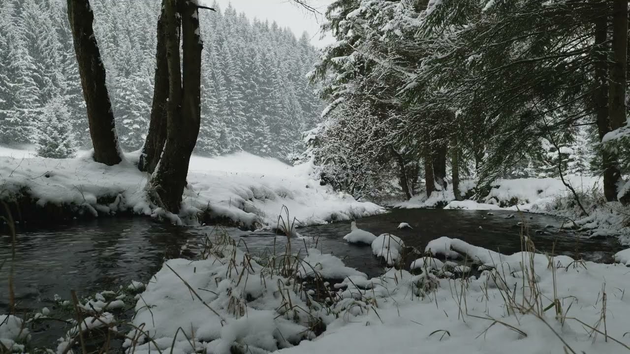 3 Hours Snowy Forest Mountain Stream for Relaxation & Sleep | 4K
