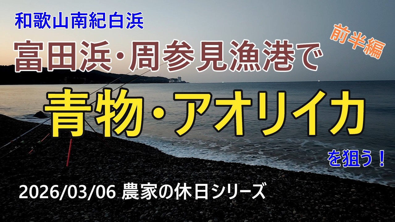 ３月６日、富田浜・周参見漁港で青物・アオリイカを狙う（前半）～農家の休日シリーズ～