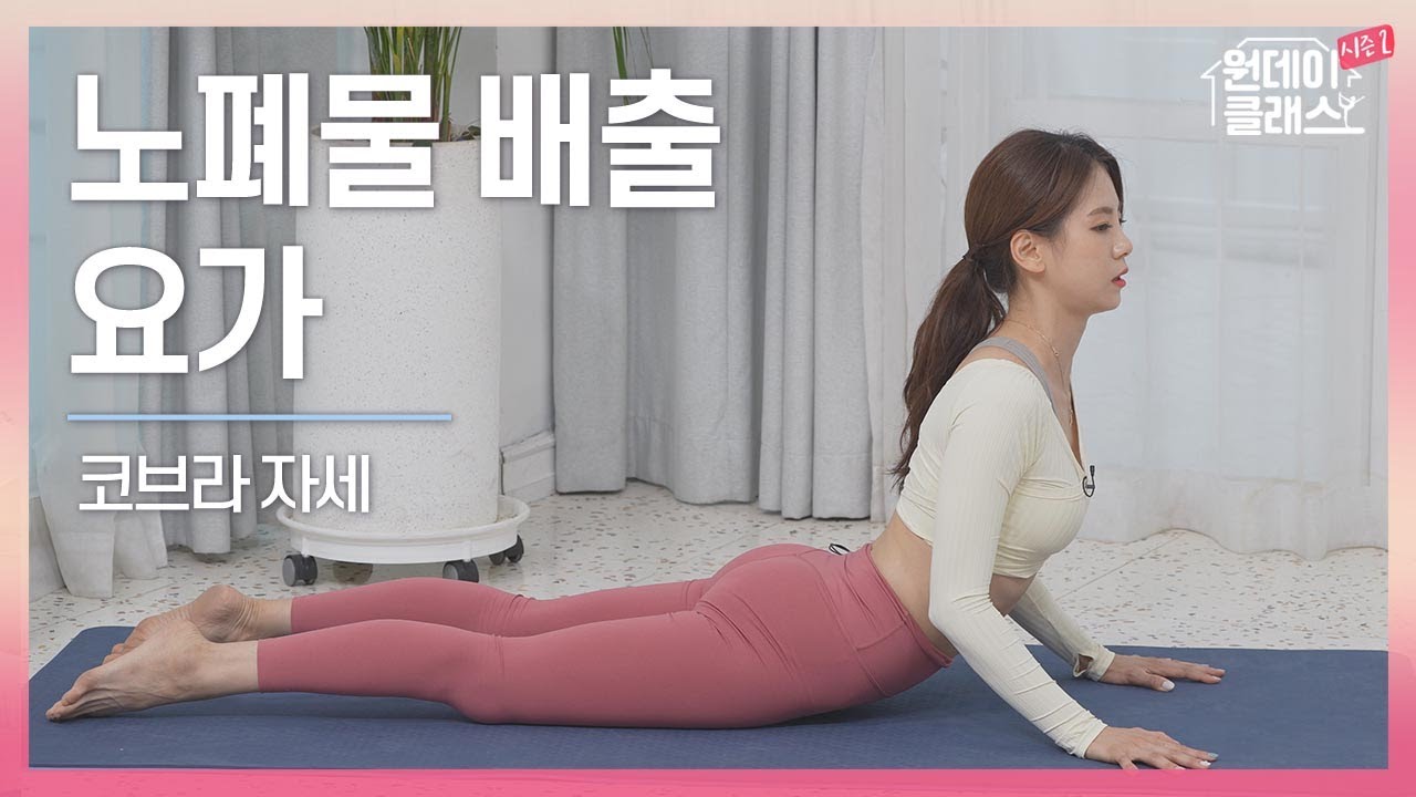 [한수진 요가] 원데이 클래스 시즌 2 요가 2회 🧘‍♀️ 노폐물 배출에 좋은 요가 4