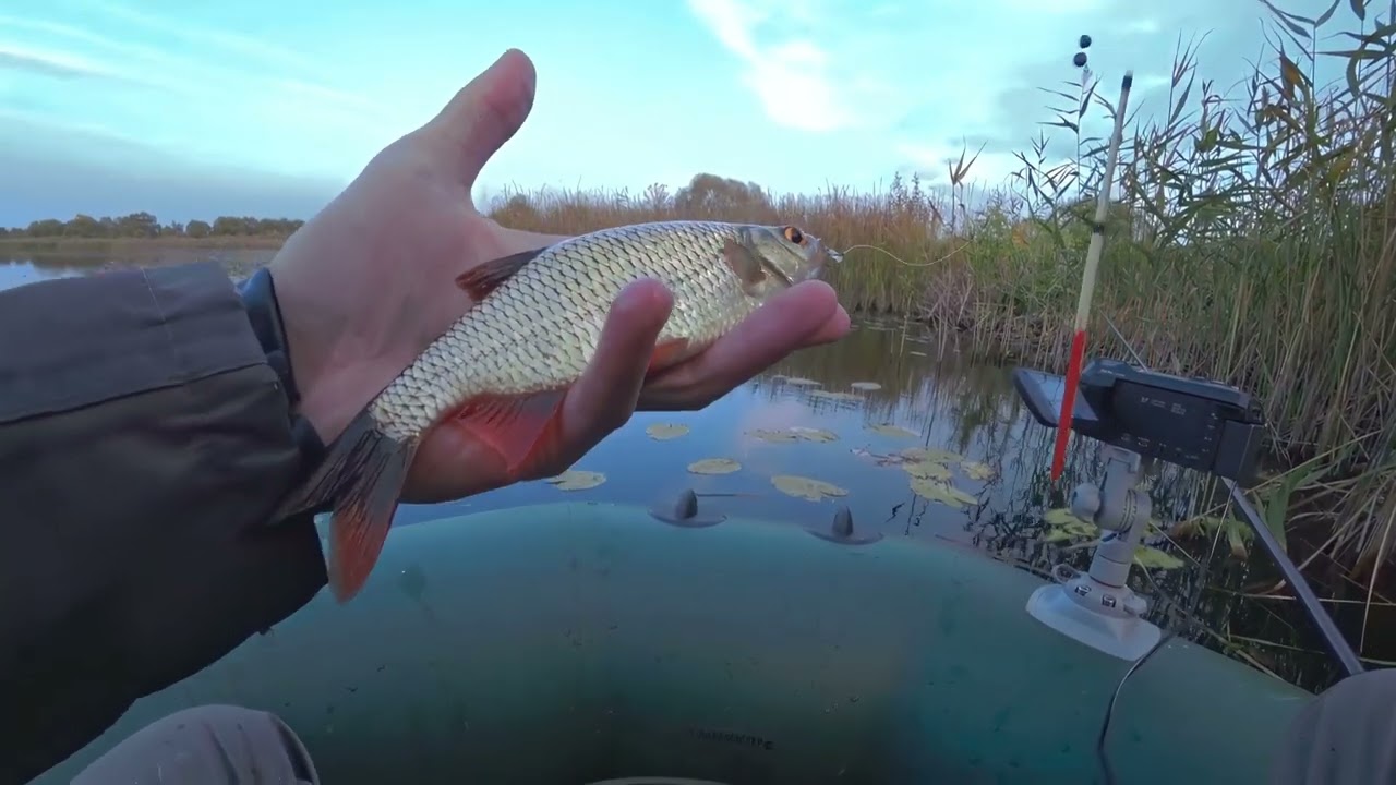 4K 60fps HDR float fishing