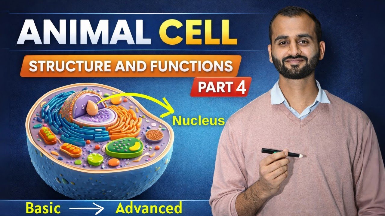 Animal Cell Structure & Functions Part 4 | Detailed Lecture for BMLT, DMLT, NEET & Paramedical Exams