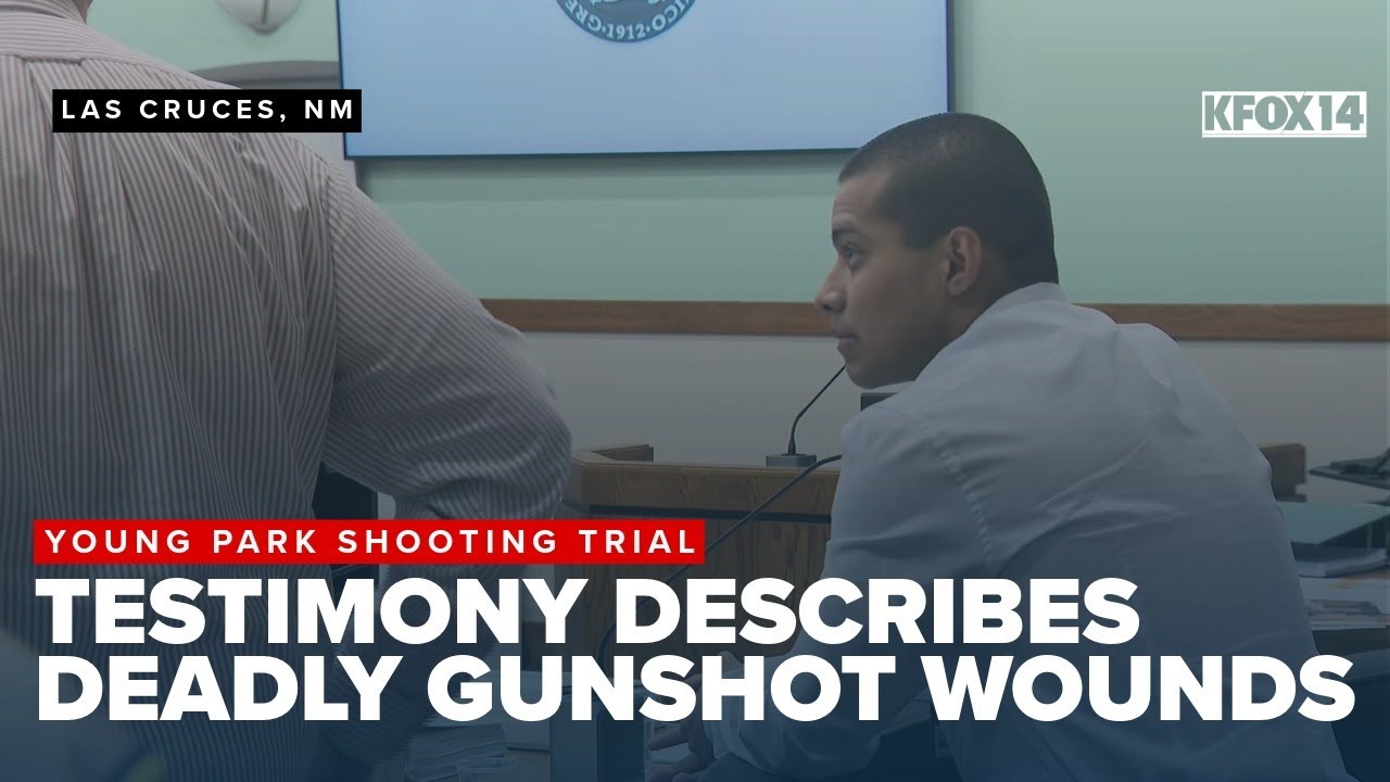 Forensic pathologist describes deadly wounds as trial continues in Young Park shooting