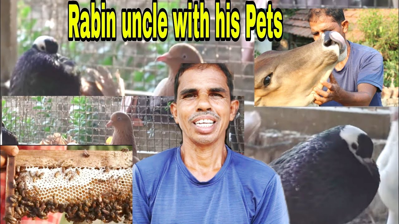 Rabin kaka's pets update with his simple village lifestyle