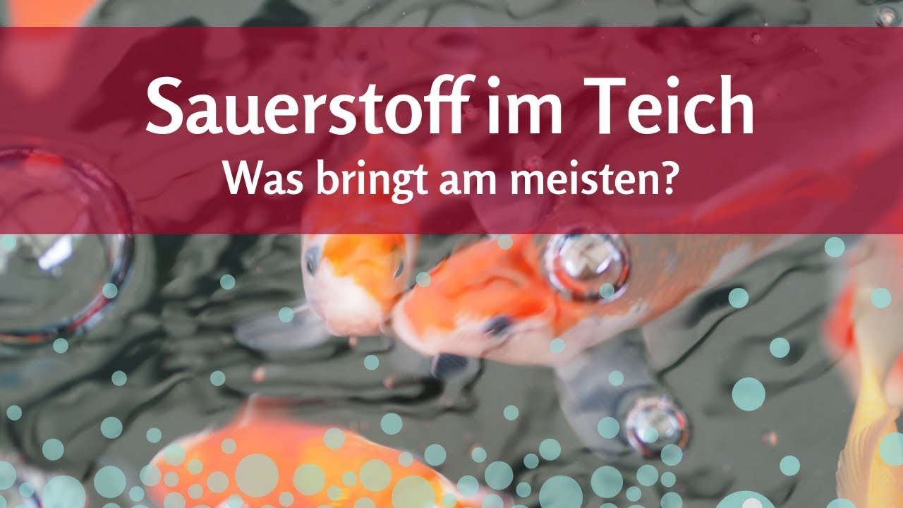 Sauerstoff f&uuml;r den Teich: Helfen Springbrunnen oder Wasserf&auml;lle?