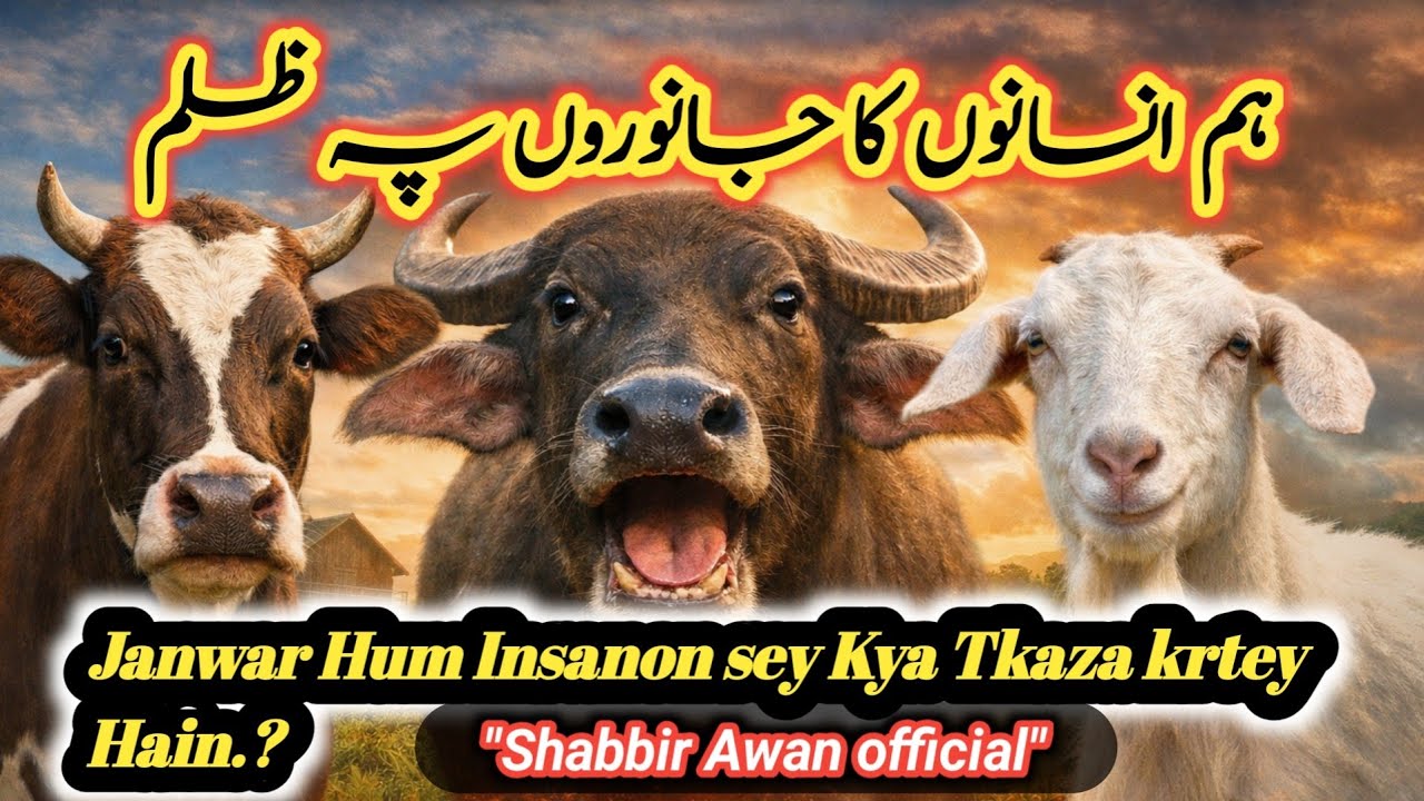 Hum Insaan Aur  Paltu Janwaron Pey Na Haq Zulam. Urdu Hindi Motivation Story 