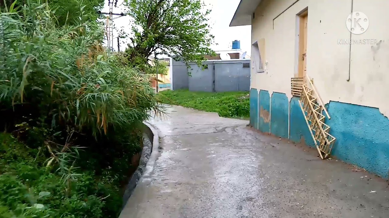 happy Rain day Malak Mala