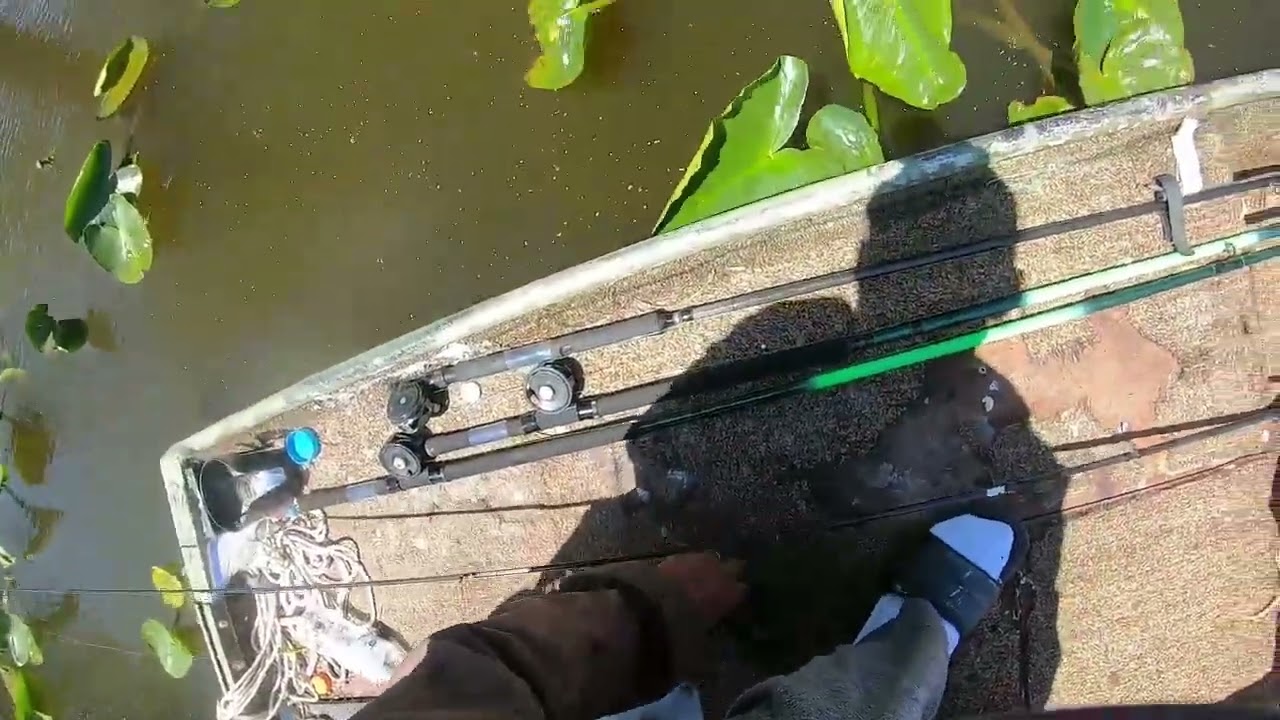a great time catching crappie and bream at reelfoot lake