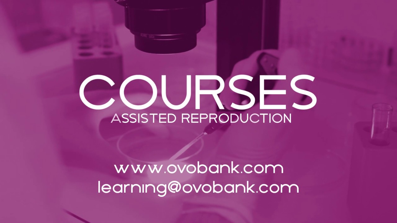 Ovobank (ENG) | Training Courses