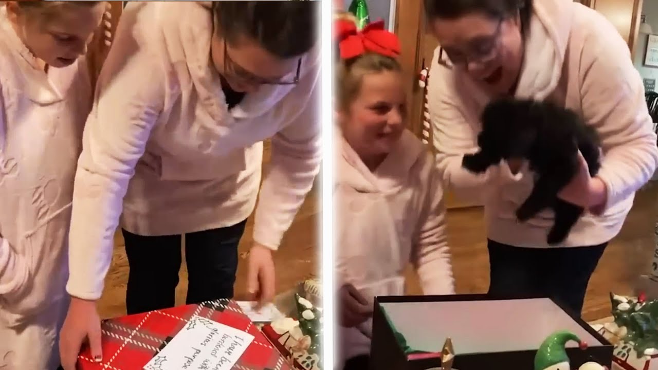 These Reactions To New 'Puppy Surprise' Will Melt Your Heart 🥹 Happy Holiday Moments | AFV 2022