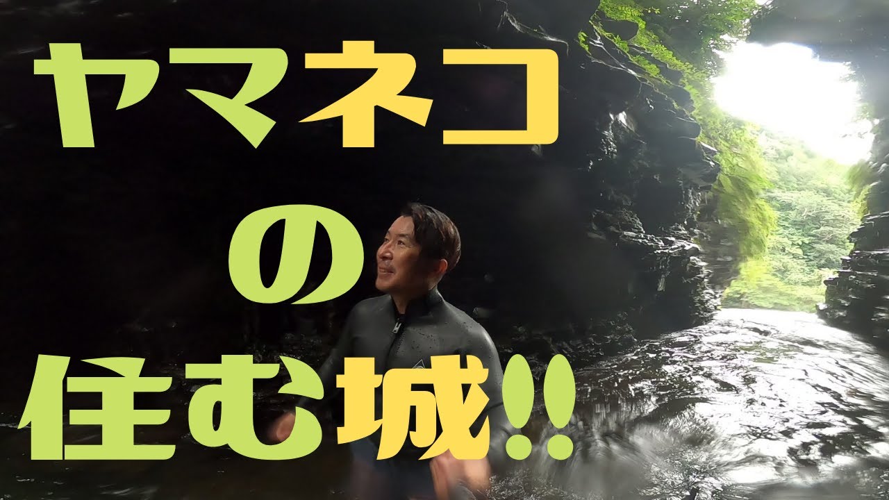 【世界遺産】西表島の最奥に鎮座する秘境マヤグスクの滝！  第334話