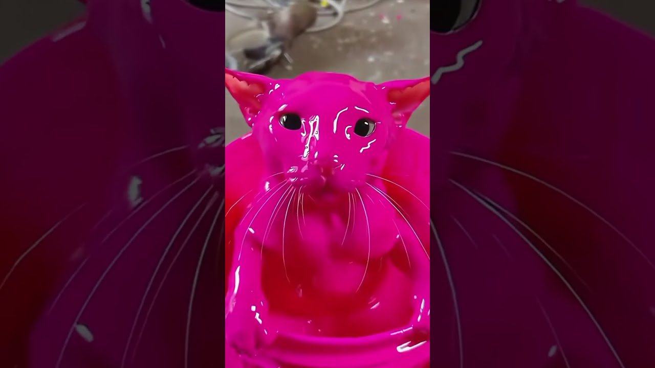 The funniest kittens #funny #cute #cats #foryou