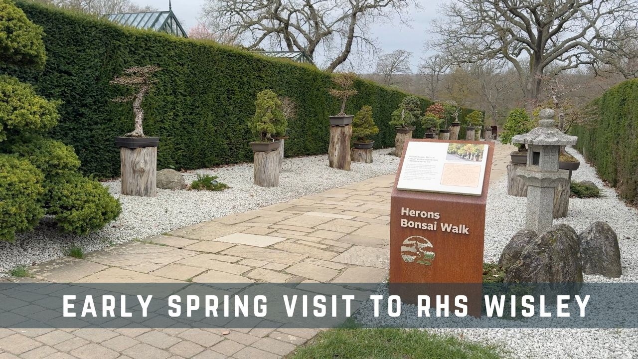 Ранняя весенняя поездка в RHS Wisley