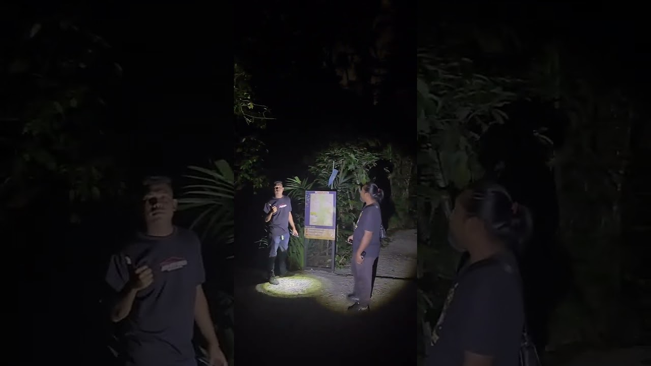 MERUNGKAI MISTERI BUKIT GASING SAMBIL HIKING KEATAS