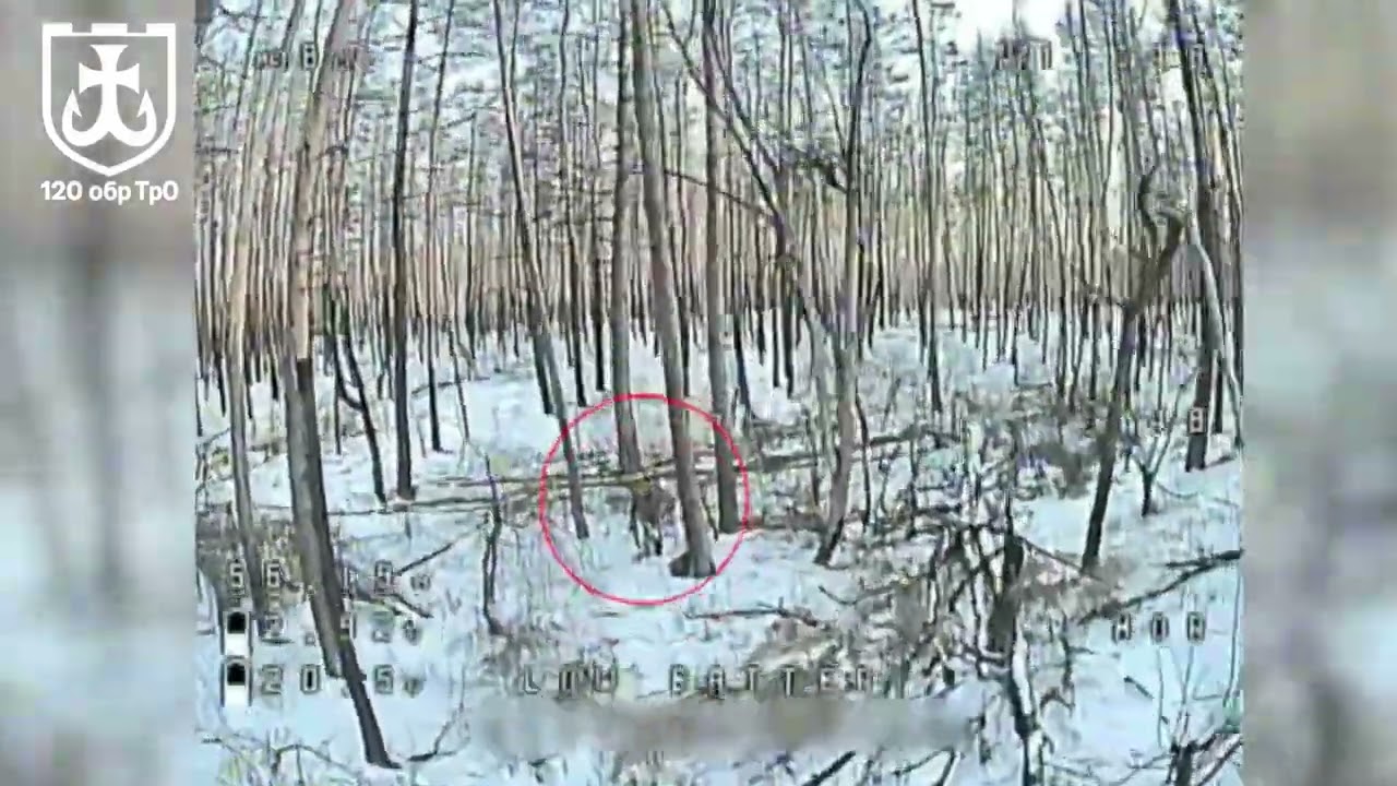 Весна - час для прибирання окупантів з української землі