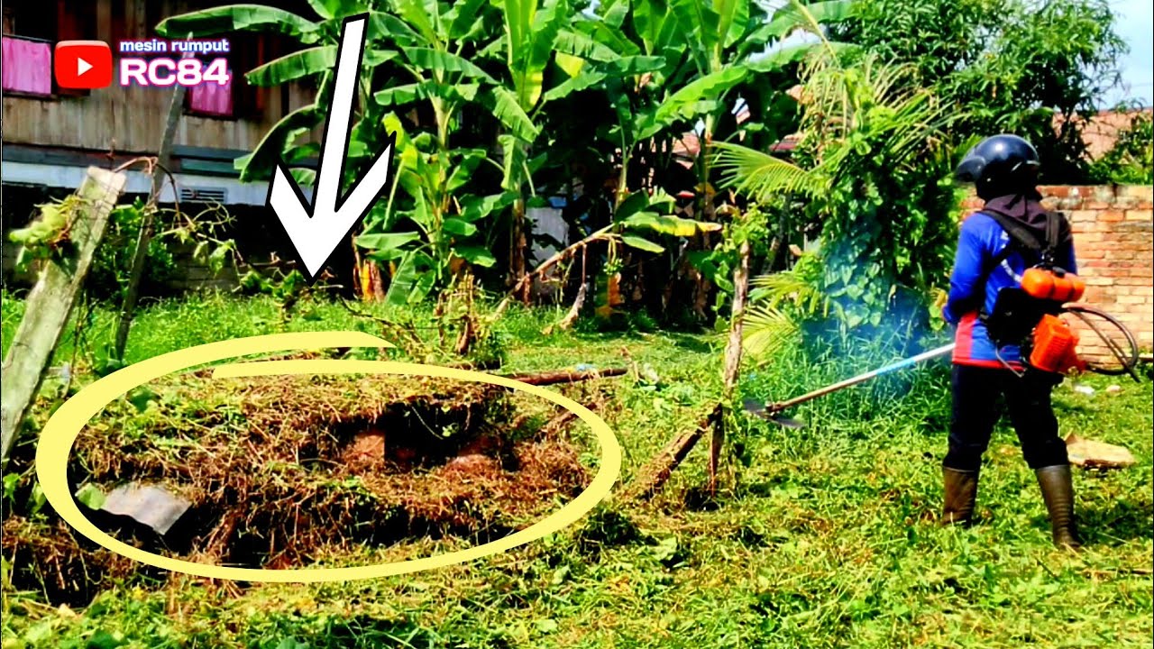 Dibawah Tumpukan kayu dan Genteng Seperti ini lah Ular biasa bersarang            mesin rumput #rc84