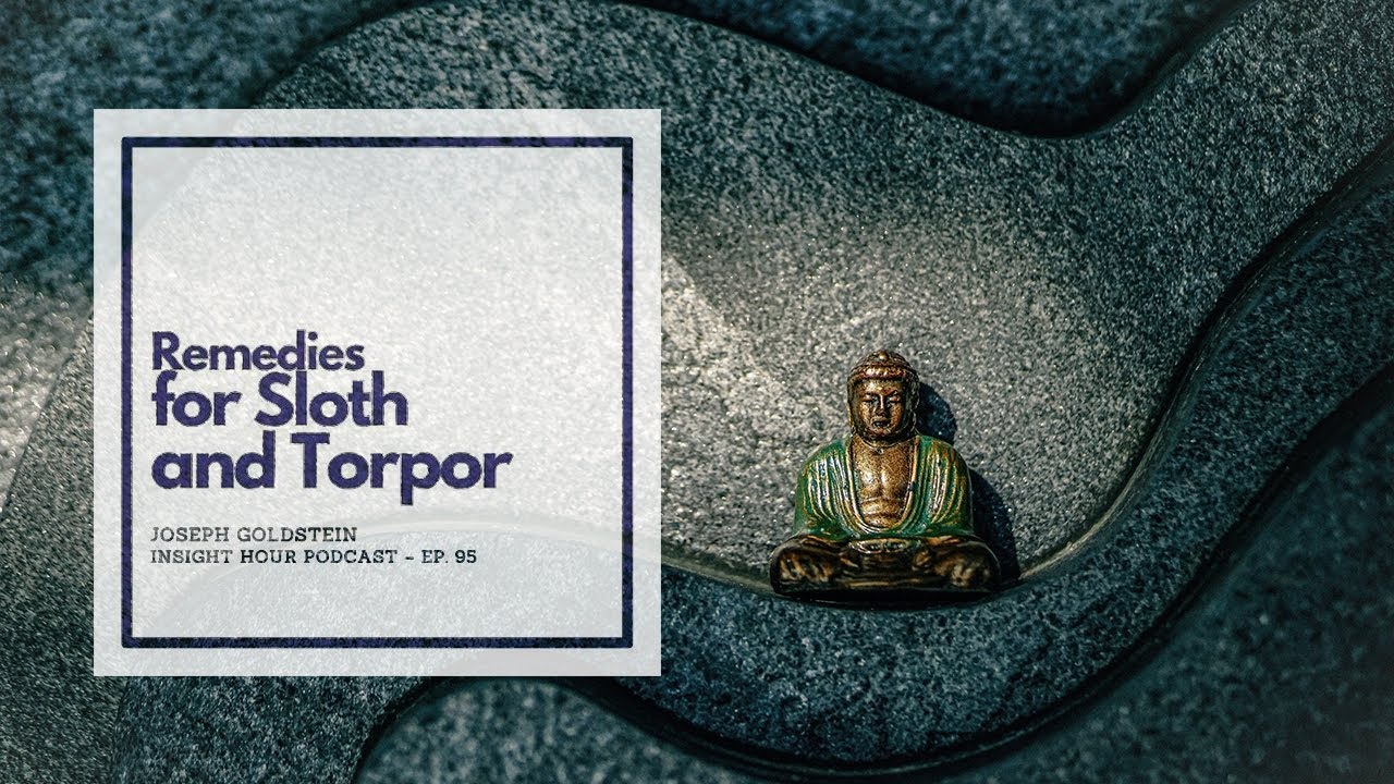 Joseph Goldstein – Insight Hour – Ep. 95 – Remedies for Sloth and Torpor
