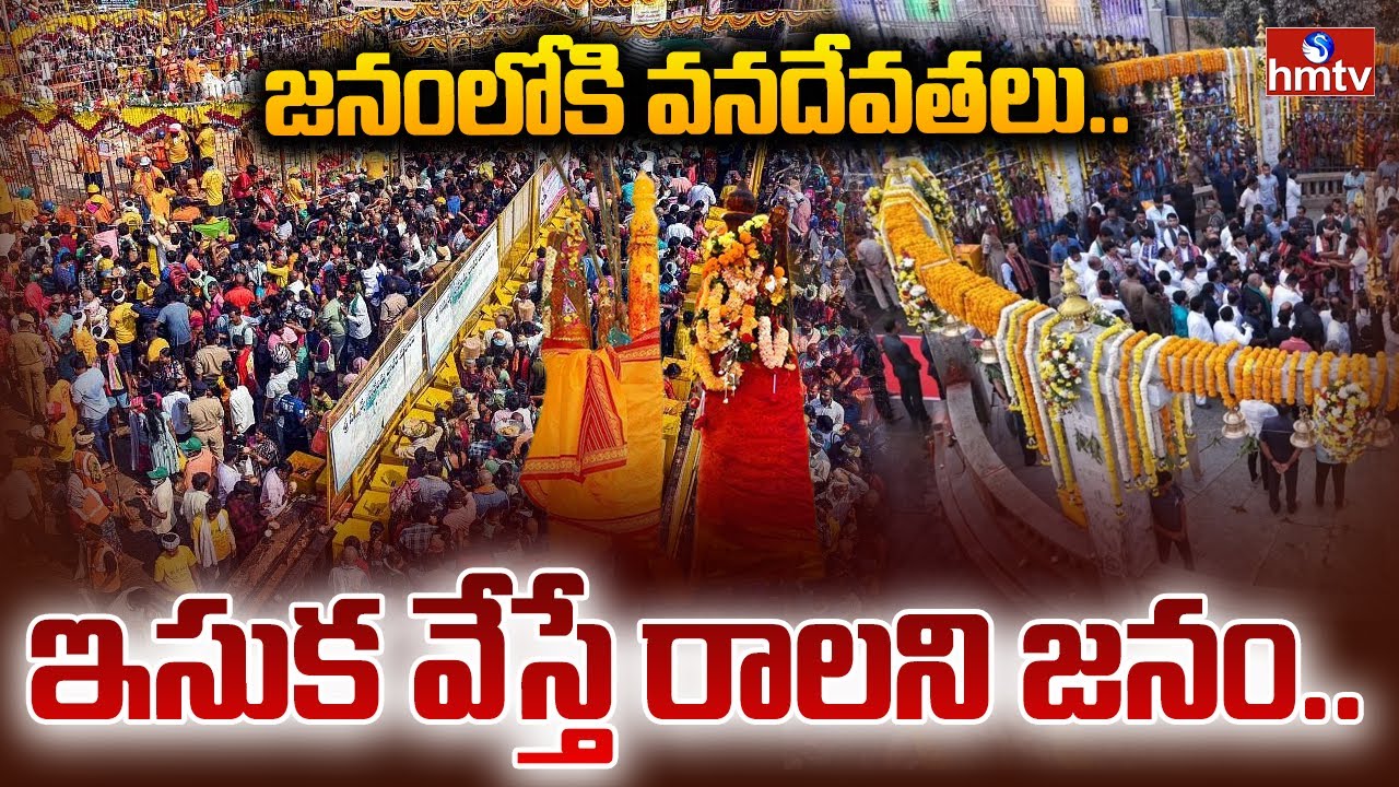 జనంలోకి వనదేవతలు.. ఇసుక వేస్తే రాలని జనం..| Massive Devotee Rush at Medaram Jatara | hmtv