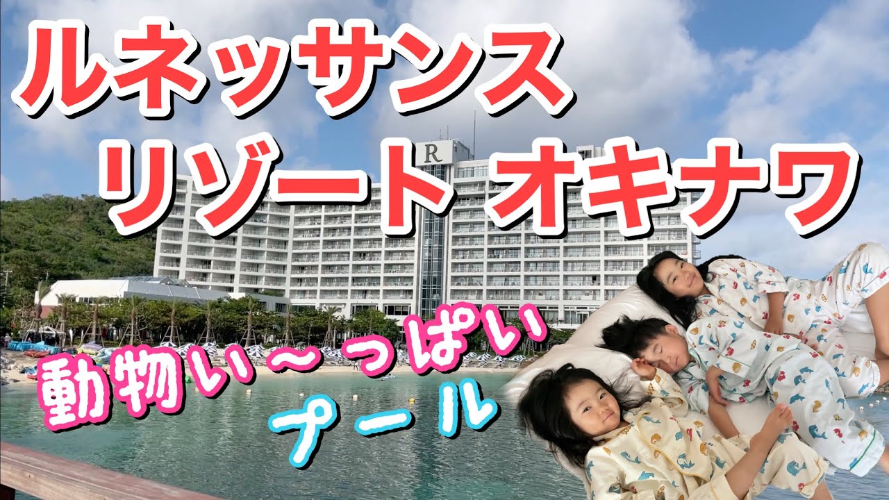 【ホテル】4泊5日沖縄旅行の初ホテル滞在！ウミガメ・イルカ・エイがちか〜いぞ！