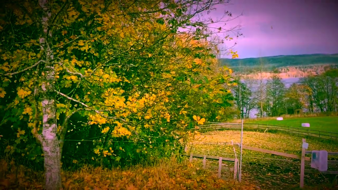 Maridalsvannet