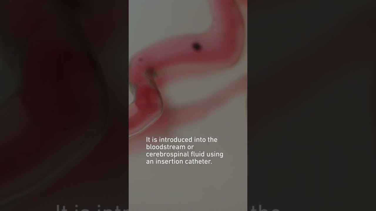 Microrobots finding their way