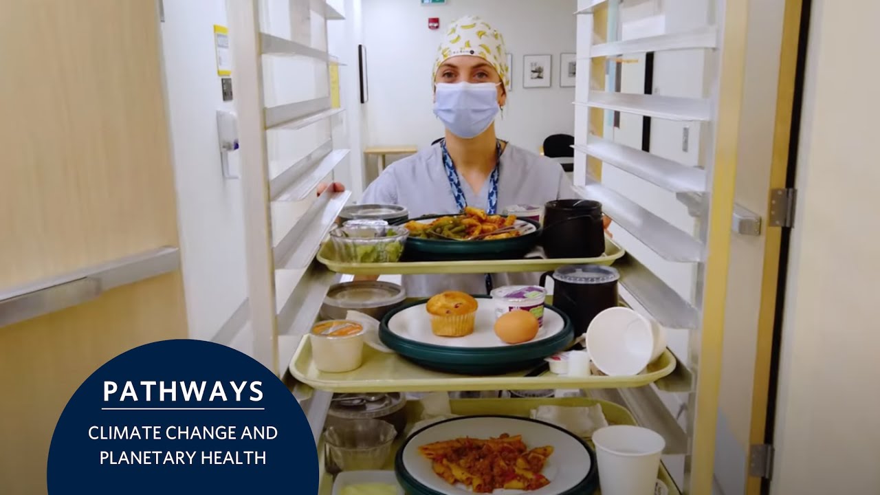 Toward greener, healthier hospital menus | Transforming hospital food systems | Planetary health