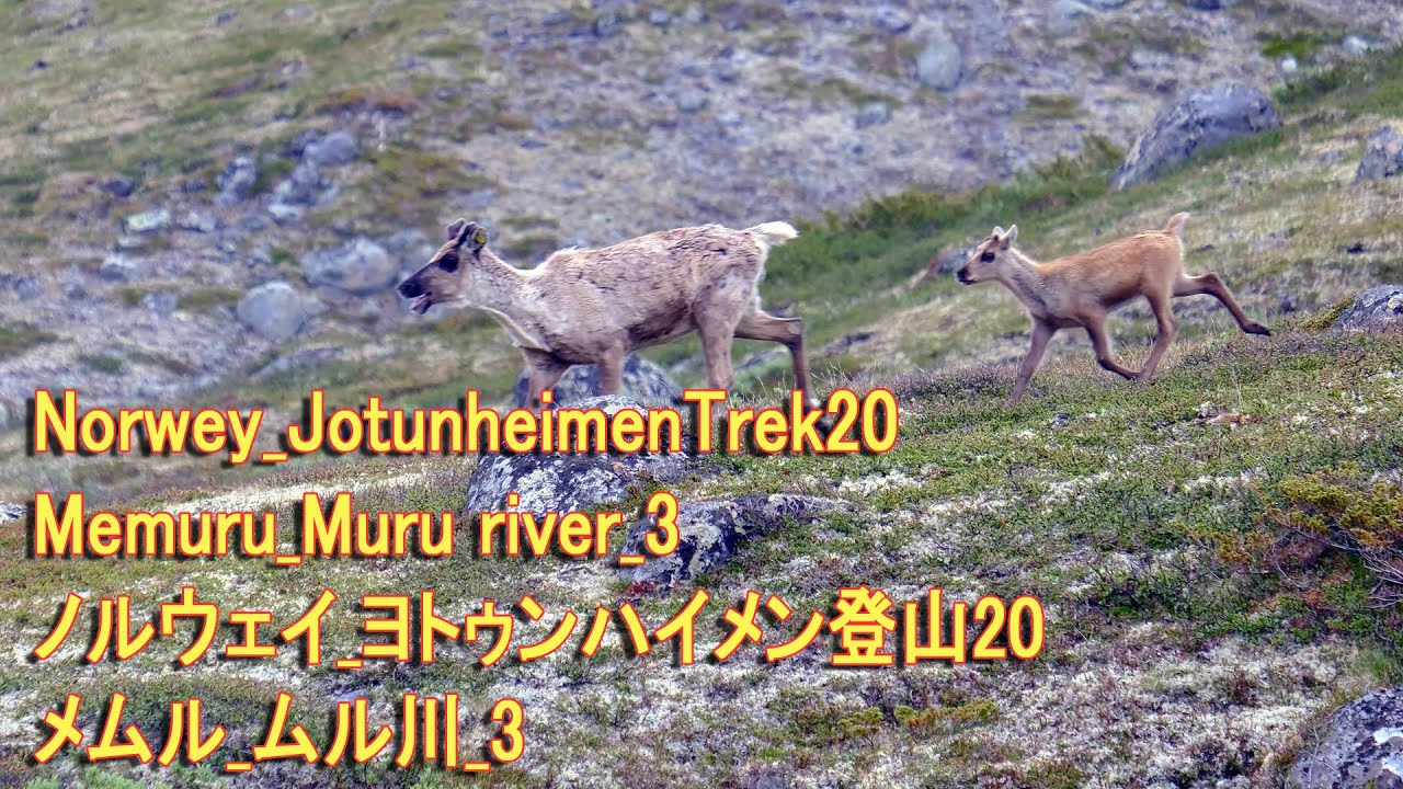 Norwey_JotunheimenTrek20 Memuru_Muru river_3 ノルウェイ_ヨトゥンハイメン登山20 メムル_ムル川_3