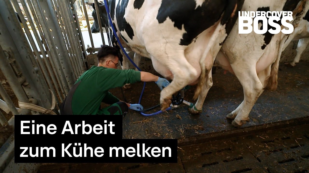 Feingefühl im firmeneigenen Bauernhof 🐮 | Undercover Boss