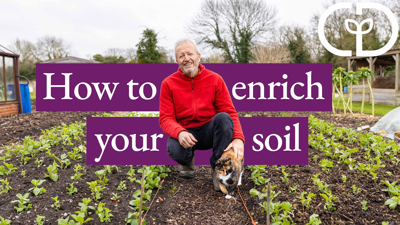 Options for fertility, compost and cover crops
