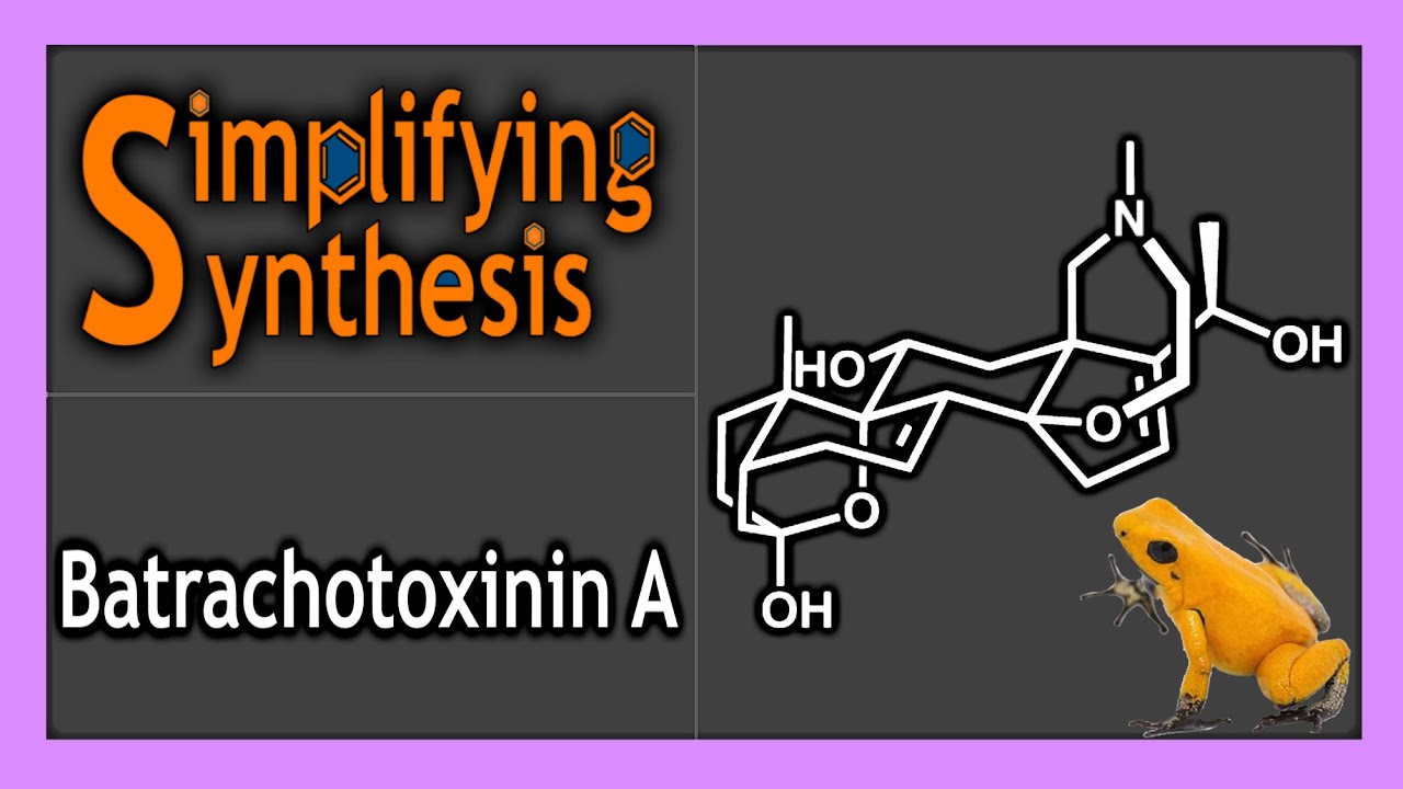 Total Synthesis of (−)-Batrachotoxinin A: A Local-Desymmetrization Approach- Part One