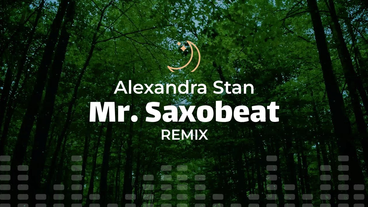 Alexandra Stan - Mr. Saxobeat (Remix) (lyrics)