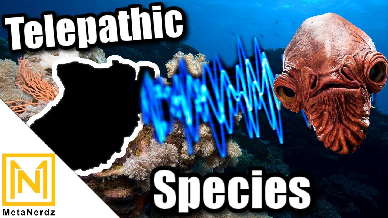The STRANGEST Species Under the Sea - Knowledge Bank Species - Star Wars Aliens & Races Explained