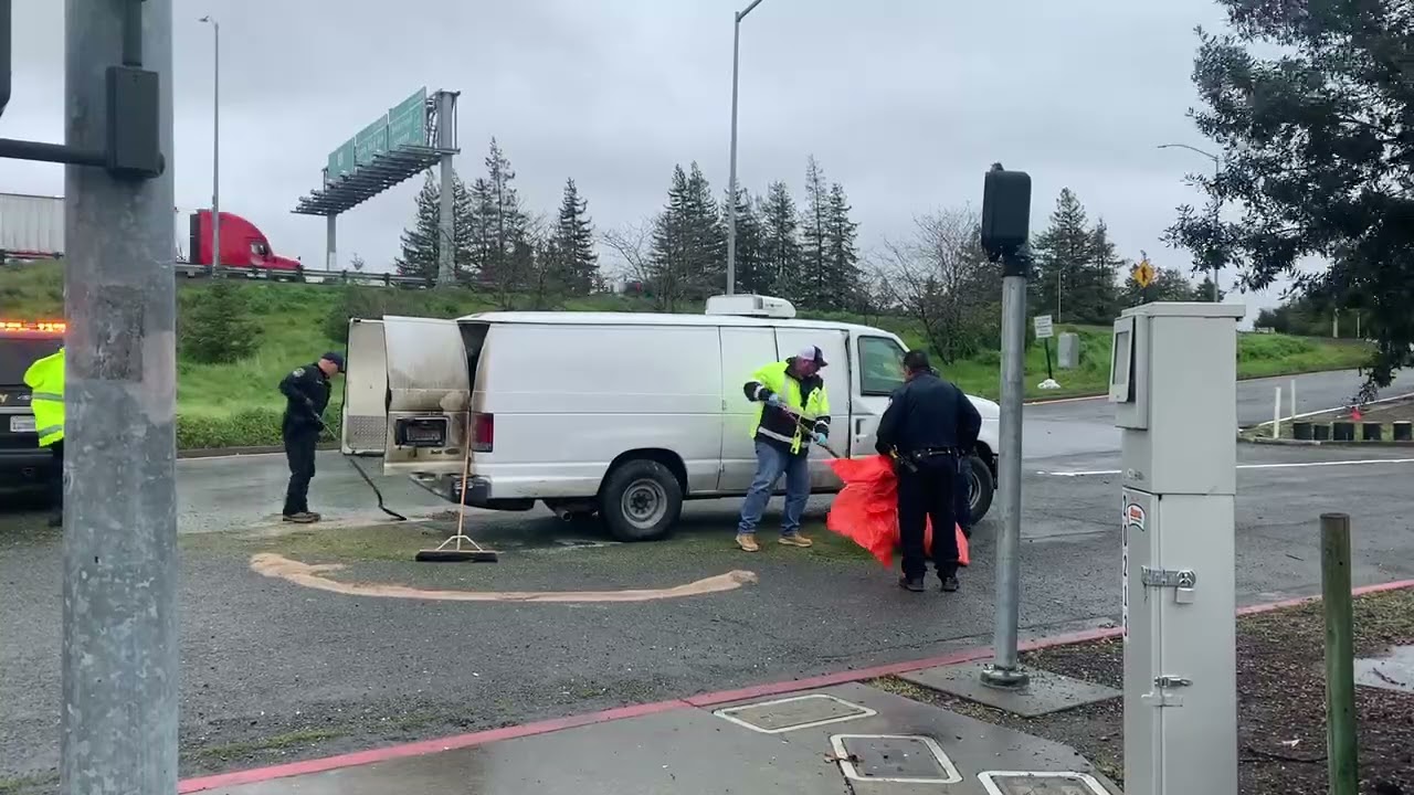 Marijuana spill on Hwy 101 on-ramp in Santa Rosa