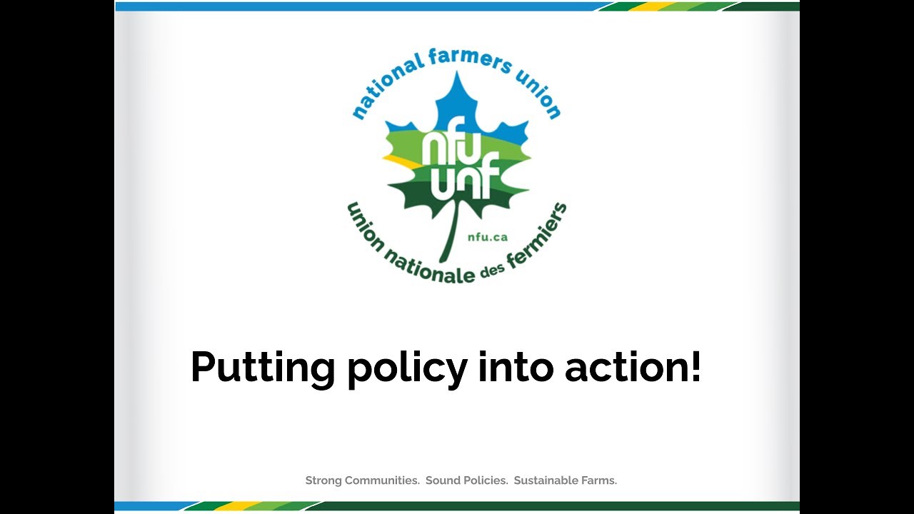 The NFU putting policy into action by Cathy Holtslander