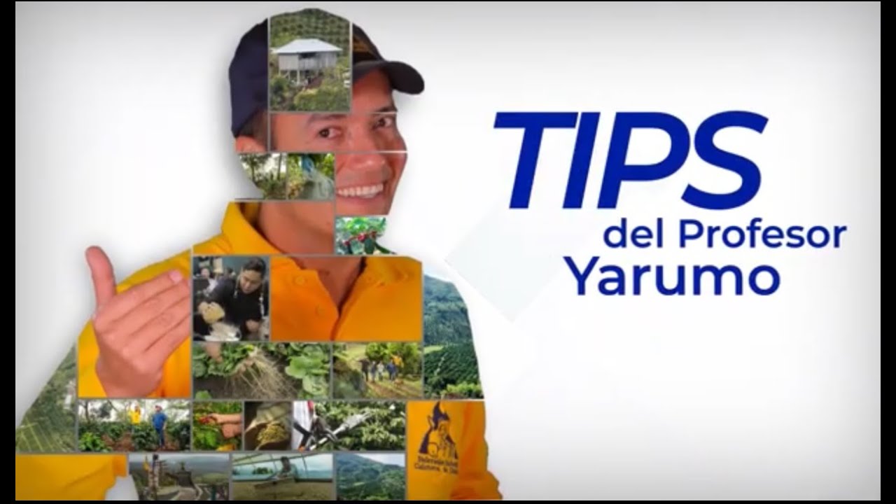 Típs del Profesor Yarumo Colino Descopado