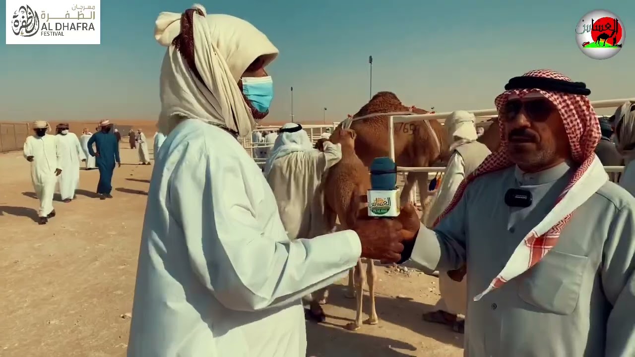 مسابقة المحالبة ضمن مهراجان الظفره