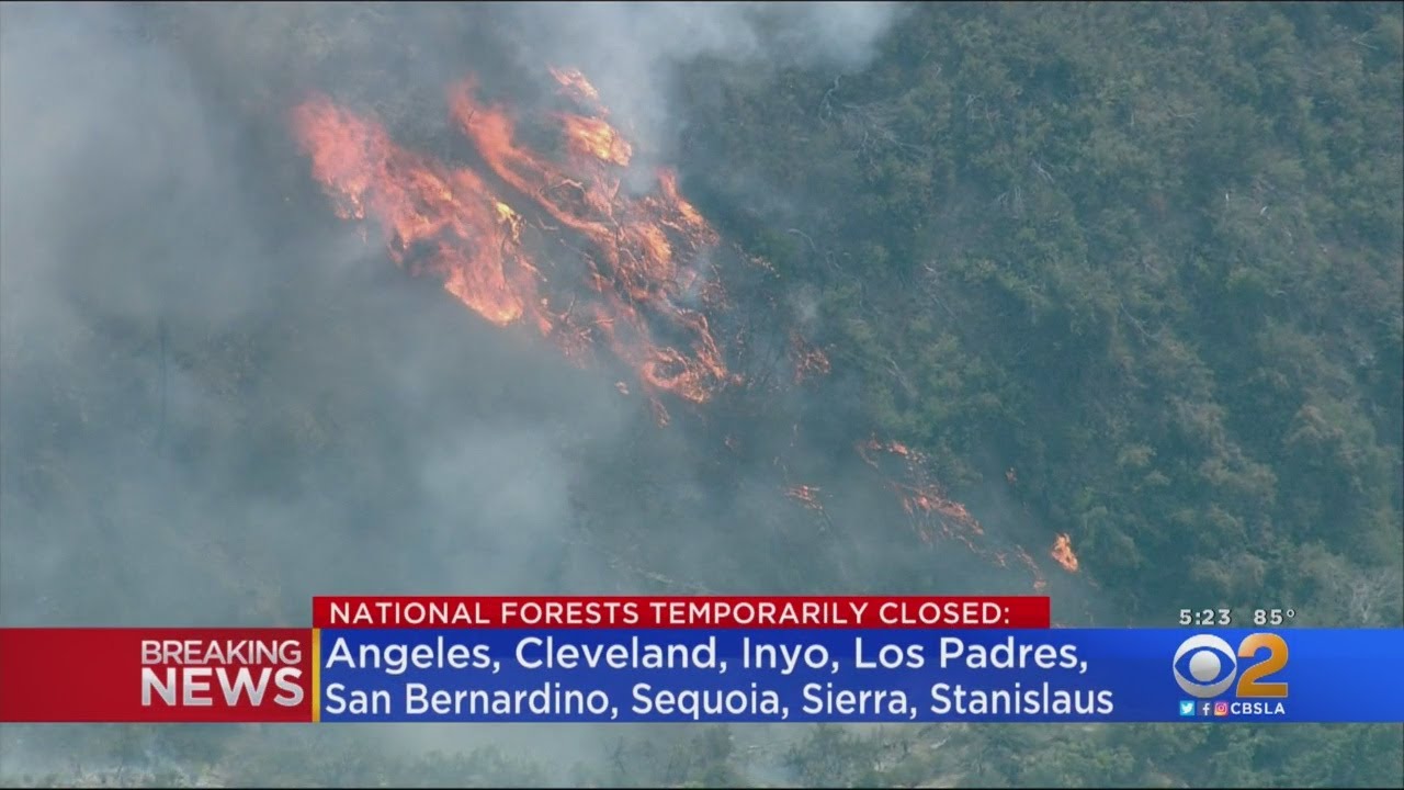U.S. Forest Service To Temporarily Close SoCal National Forests Over Fire Danger
