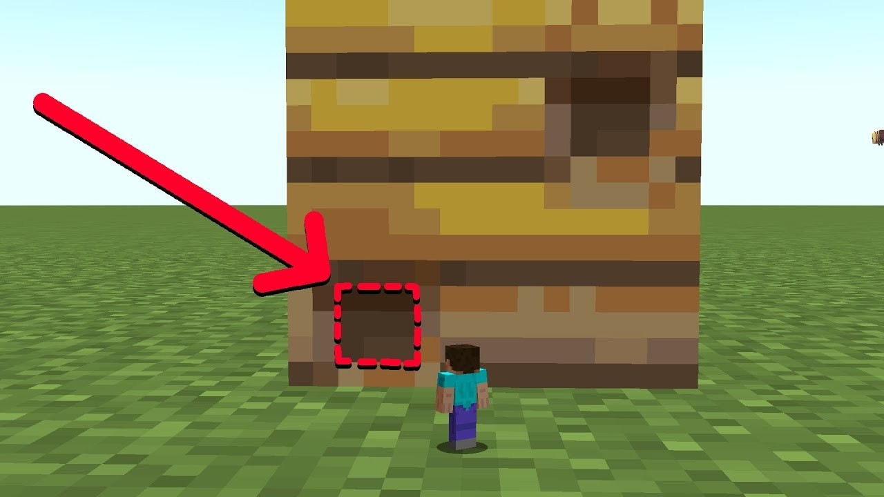 whats inside the bee nest?