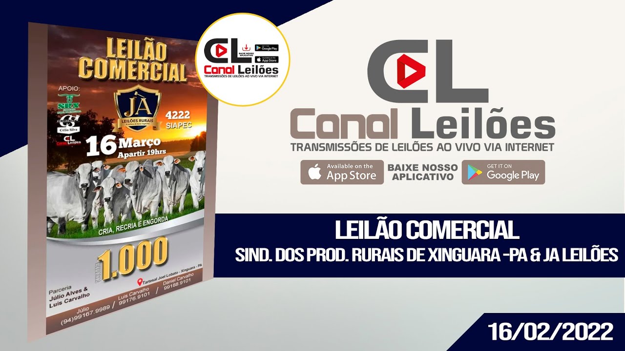 canalleiloes.com LEIL&Atilde;O COMERCIAL - SIND. DOS PROD. RURAIS DE XINGUARA -PA & JA LEIL&Otilde;ES