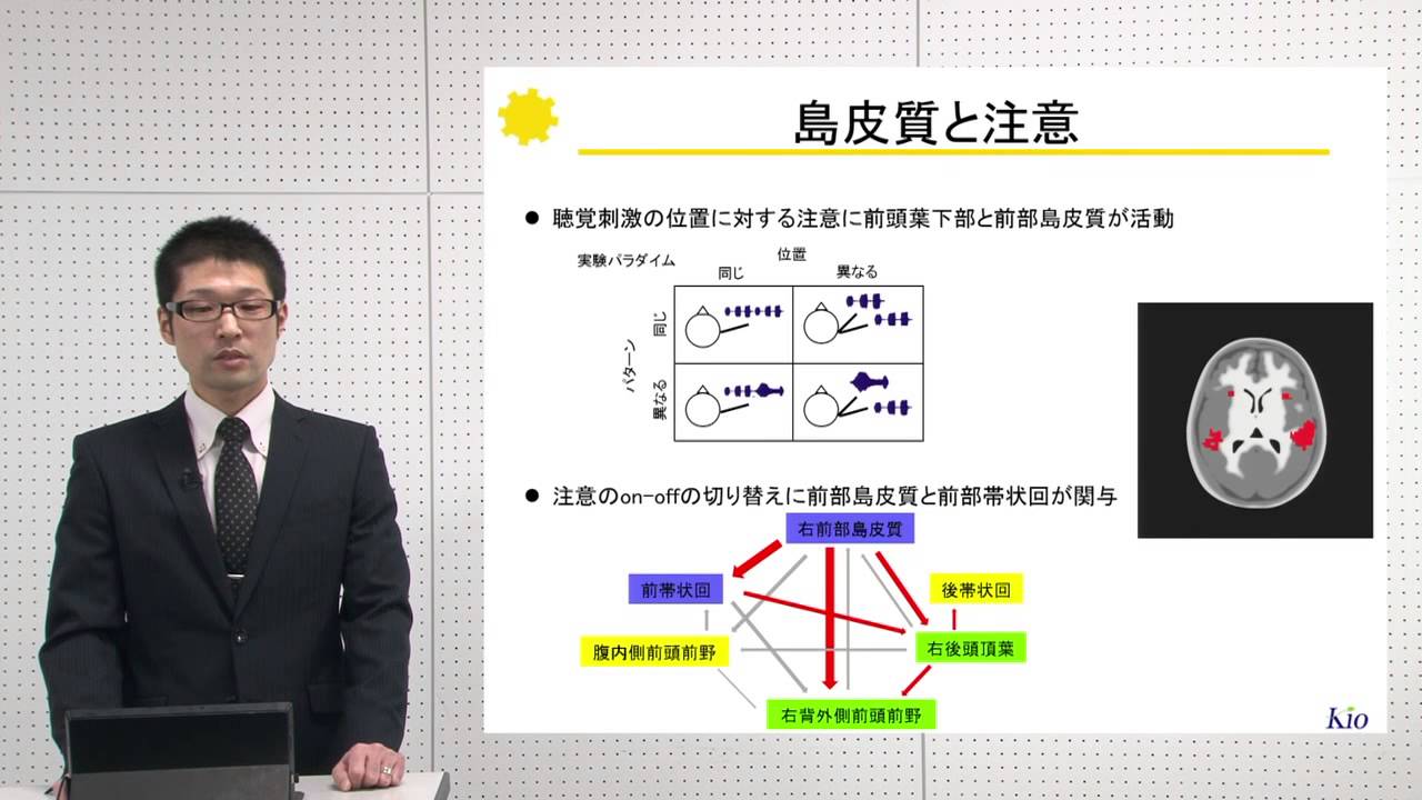 10分でわかる脳の構造と機能vol.8「島皮質」‐畿央大学ニューロリハビリテーション研究センター‐