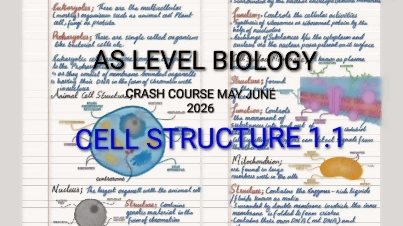 Cell Structure 1.1 AS LEVEL BIOLOGY lacture with detailed explanation and short keypoints