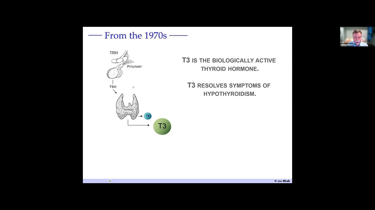 Rethinking Hypothyroidism (Medical Version)